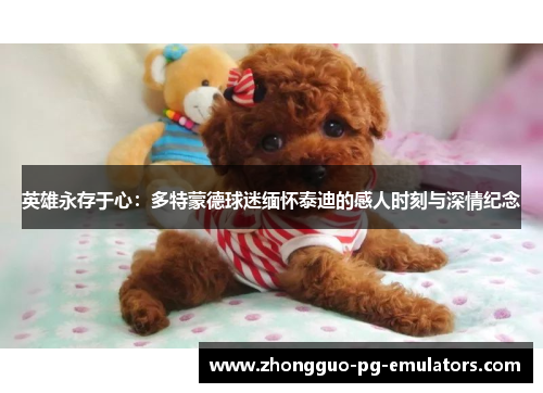 英雄永存于心：多特蒙德球迷缅怀泰迪的感人时刻与深情纪念