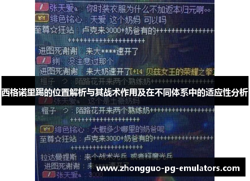 西格诺里踢的位置解析与其战术作用及在不同体系中的适应性分析