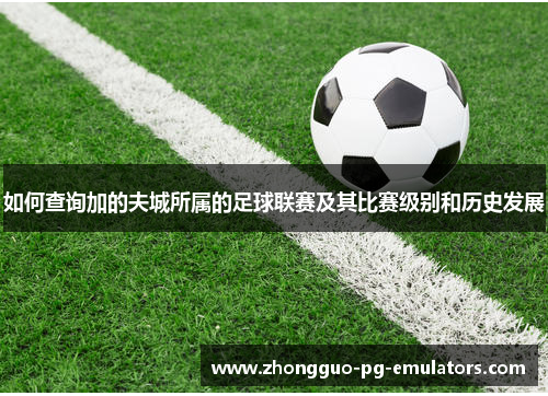 如何查询加的夫城所属的足球联赛及其比赛级别和历史发展