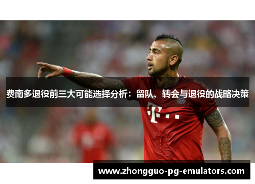 费南多退役前三大可能选择分析:留队、转会与退役的战略决策 费南多退役前三大可能选择分析:留队、转会与退役的战略决策
