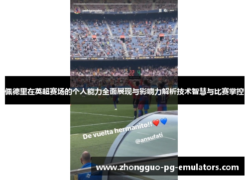 佩德里在英超赛场的个人能力全面展现与影响力解析技术智慧与比赛掌控