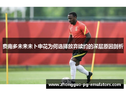 费南多未来未卜申花为何选择放弃续约的深层原因剖析