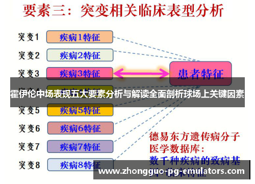 霍伊伦中场表现五大要素分析与解读全面剖析球场上关键因素