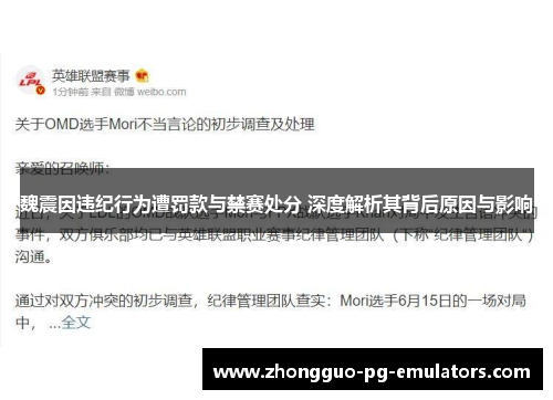魏震因违纪行为遭罚款与禁赛处分 深度解析其背后原因与影响